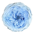Trandafiri de gradina AMELIA BLU-89 (dia. 3-4cm, set 12 buc /cutie) - DepozituldeCriogenati.ro