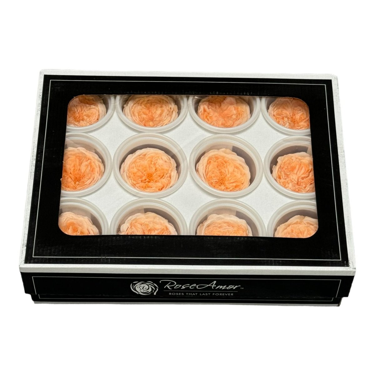 Trandafiri de gradina AMELIA PEA-99 (dia. 3-4cm, set 12 buc /cutie) - DepozituldeCriogenati.ro