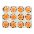 Trandafiri de gradina AMELIA PEA-99 (dia. 3-4cm, set 12 buc /cutie) - DepozituldeCriogenati.ro