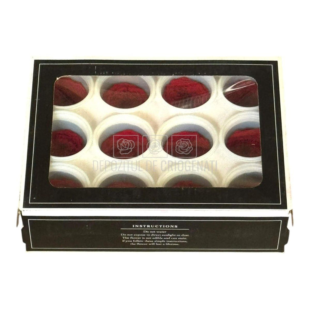 Trandafiri de gradina AMELIA RED-01 (Ø3-4cm x H2-3cm) - Depozitul de Criogenati
