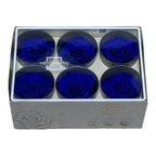 Trandafiri STANDARD DARK BLUE (dia. 5-5,5cm; set 6 buc /cutie) - DepozituldeCriogenati.ro