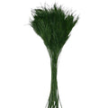 Tree Fern Verde (Buchet Criogenat) - DepozituldeCriogenati.ro