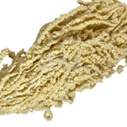 Amaranthus Alb (Buchet Criogenat) - DepozituldeCriogenati.ro