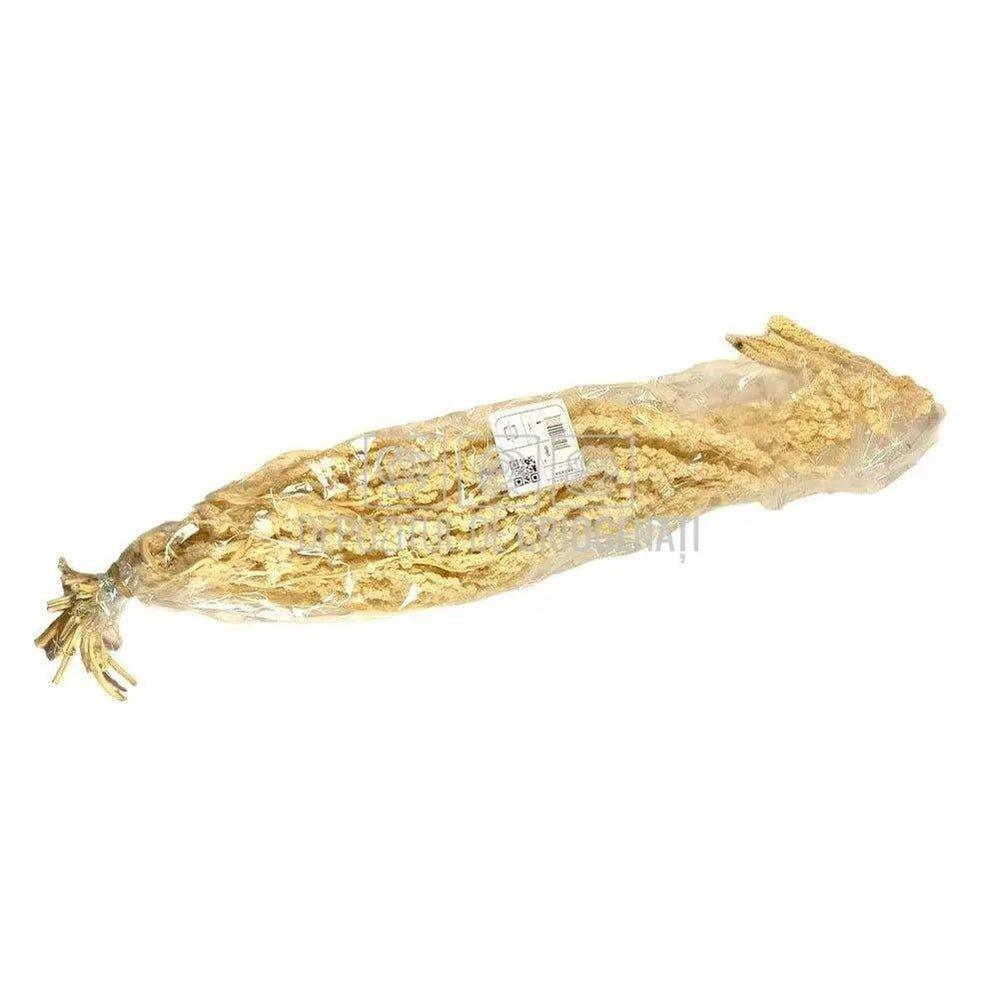 Amaranthus Alb (Buchet Criogenat) - DepozituldeCriogenati.ro