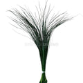 Bear Grass Verde (Buchet Criogenat) - DepozituldeCriogenati.ro