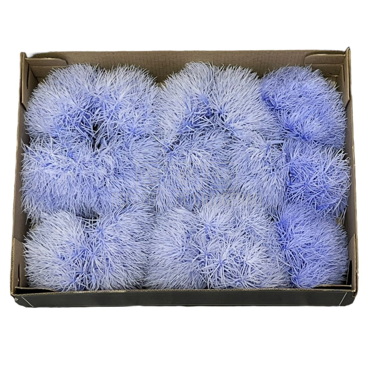 Cheers Dianthus Criogenat VIO-89 (Ø6cm, set 9-15 buc /cutie) - DepozituldeCriogenati.ro