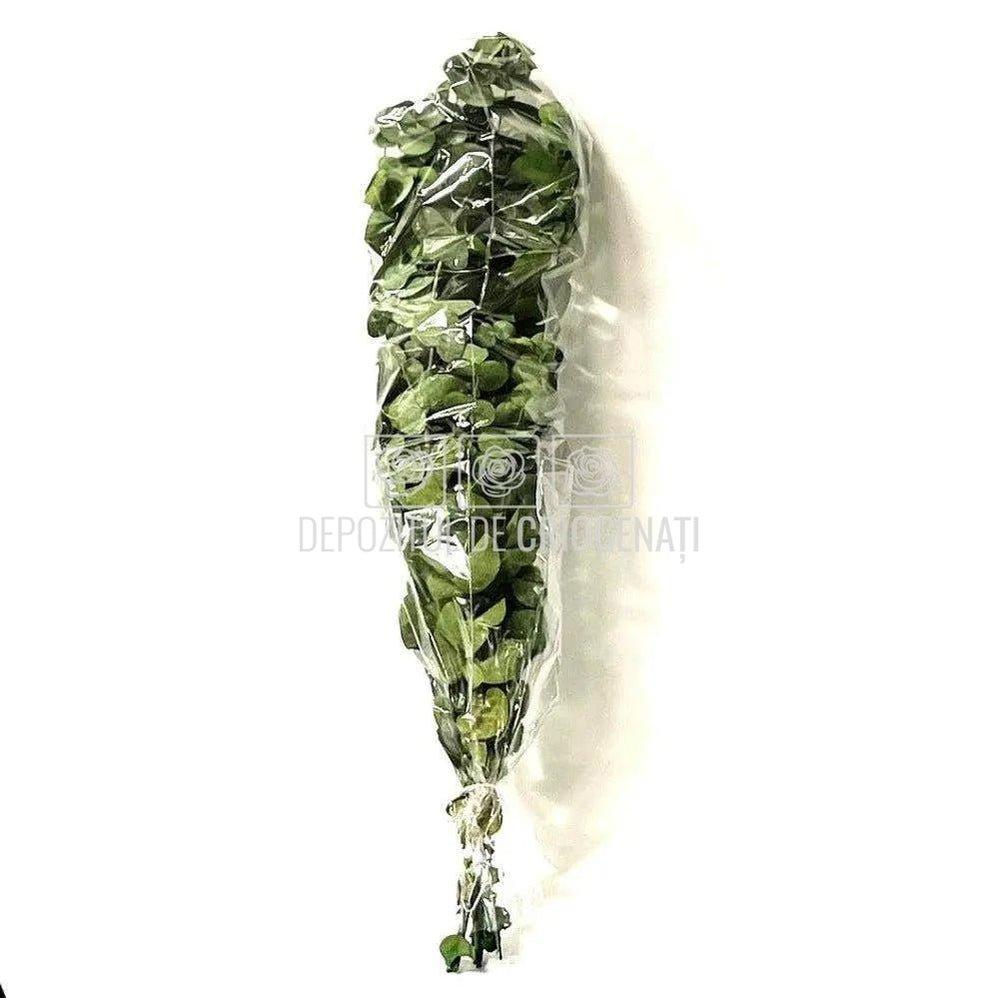 Cinerea Eucalipt (Buchet Criogenat) - DepozituldeCriogenati.ro