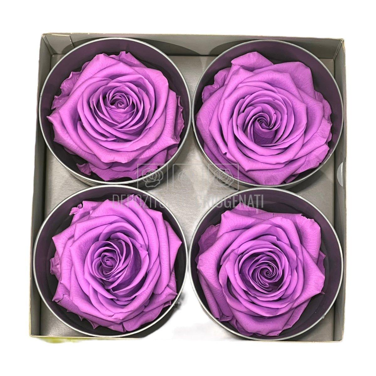 Copy of Trandafiri Criogenati PREMIUM BRIGHT LILA (Ø7-8,5cm; set 4buc) - DepozituldeCriogenati.ro