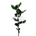 Cozi Criogenate RoseAmor 50cm pt Trandafiri Criogenati, Set 5 buc - DepozituldeCriogenati.ro