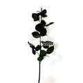 Cozi Criogenate RoseAmor 60cm pt Trandafiri Criogenati, Set 5 buc - DepozituldeCriogenati.ro