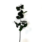 Cozi Criogenate RoseAmor 60cm pt Trandafiri Criogenati, Set 5 buc - DepozituldeCriogenati.ro