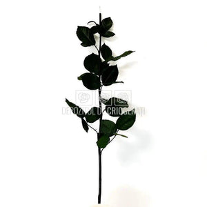 Cozi Criogenate RoseAmor 60cm pt Trandafiri Criogenati, Set 5 buc - DepozituldeCriogenati.ro