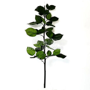 Cozi Criogenate RoseAmor 70cm pt Trandafiri Criogenati, Set 5 buc - DepozituldeCriogenati.ro