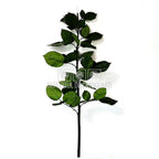 Cozi Criogenate RoseAmor 70cm pt Trandafiri Criogenati, Set 5 buc - DepozituldeCriogenati.ro