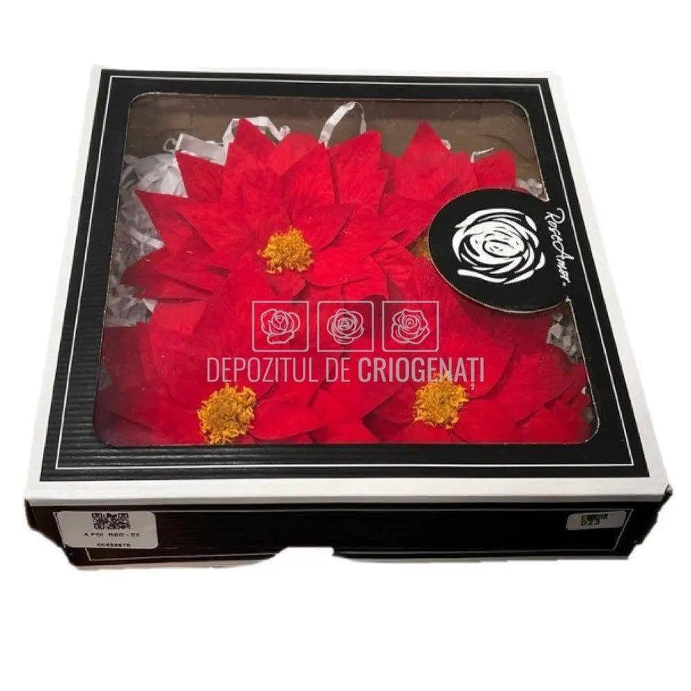 Craciunita Criogenata CRACIUNITA RED-02, Ø11cm, set 2 buc/cutie - DepozituldeCriogenati.ro