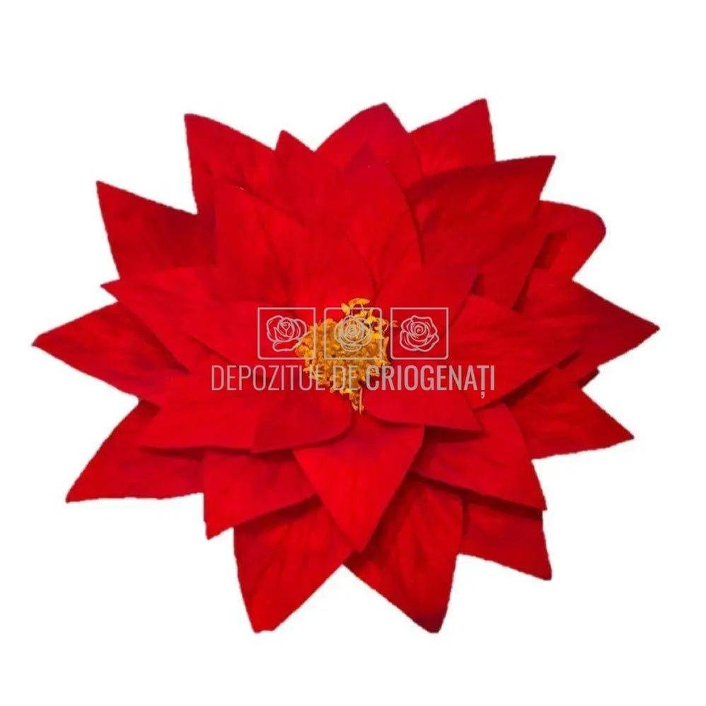 Craciunita Criogenata CRACIUNITA RED-02, Ø11cm, set 2 buc/cutie - DepozituldeCriogenati.ro