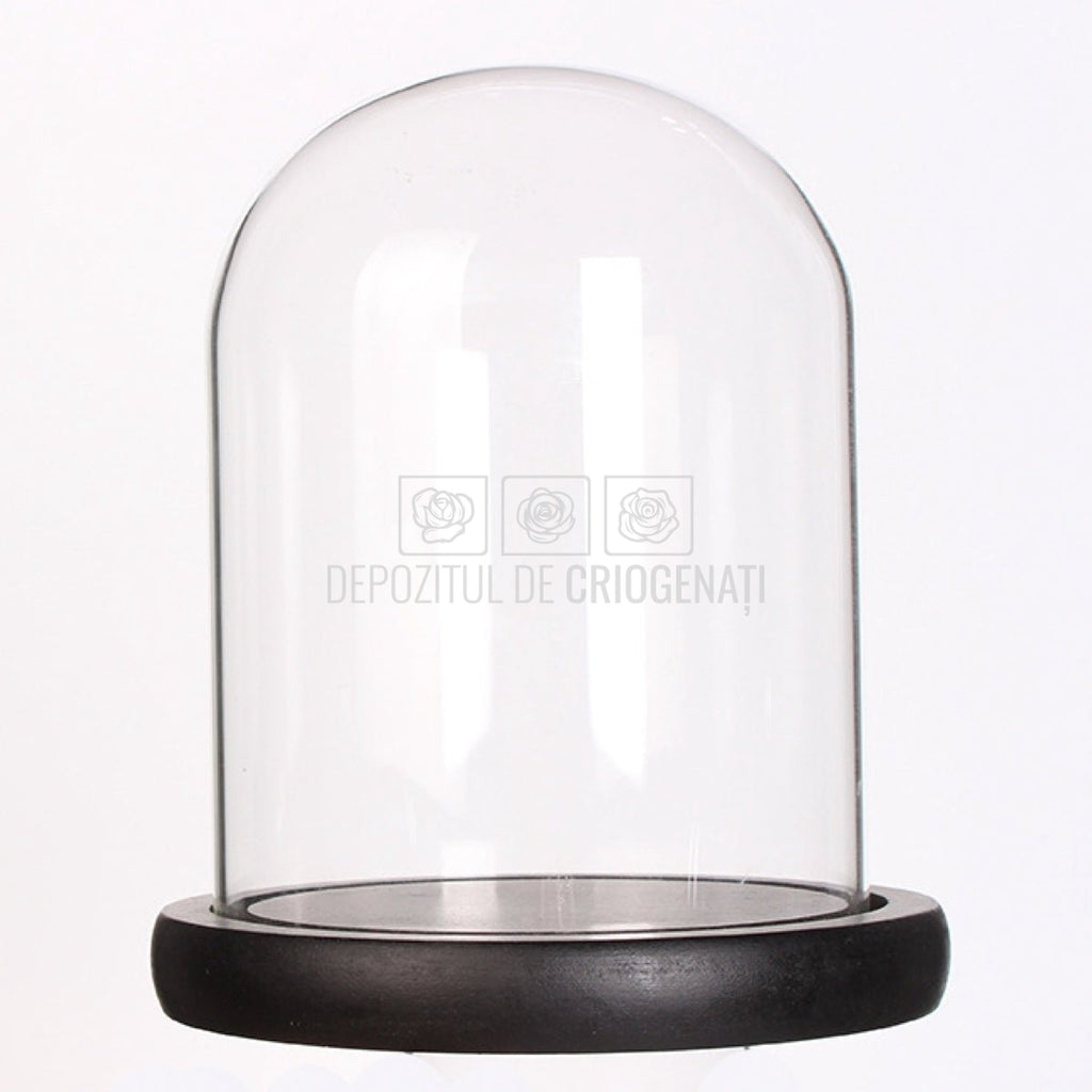 Cupola sticla 10x15cm (blat lemn negru)