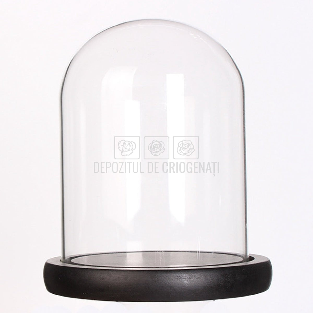 Cupola sticla 10x15cm (blat lemn negru)