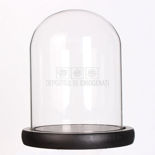 Cupola sticla 10x15cm (blat lemn negru)