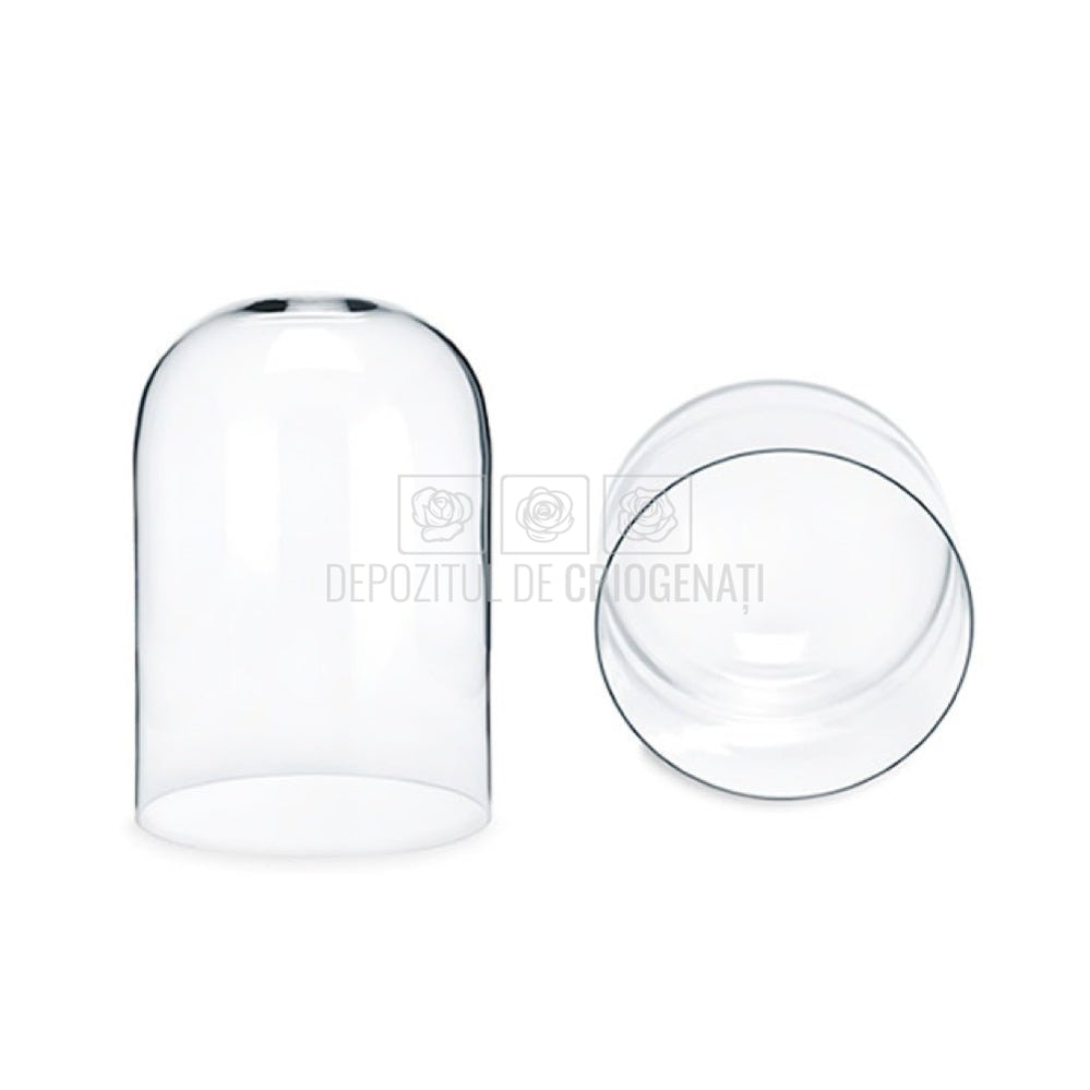 Cupola sticla 10x15cm (blat lemn negru)