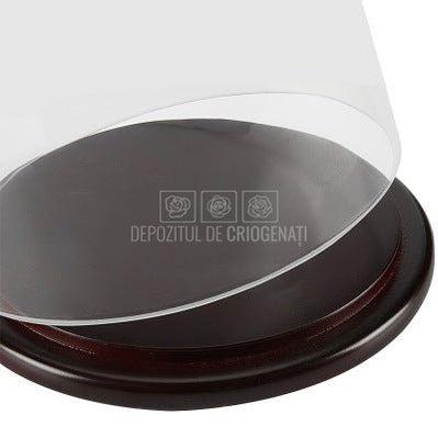Cupola sticla 10x20cm (blat lemn negru)