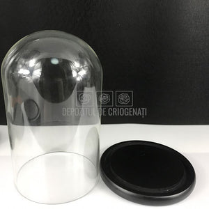 Cupola sticla 10x20cm (blat lemn negru)