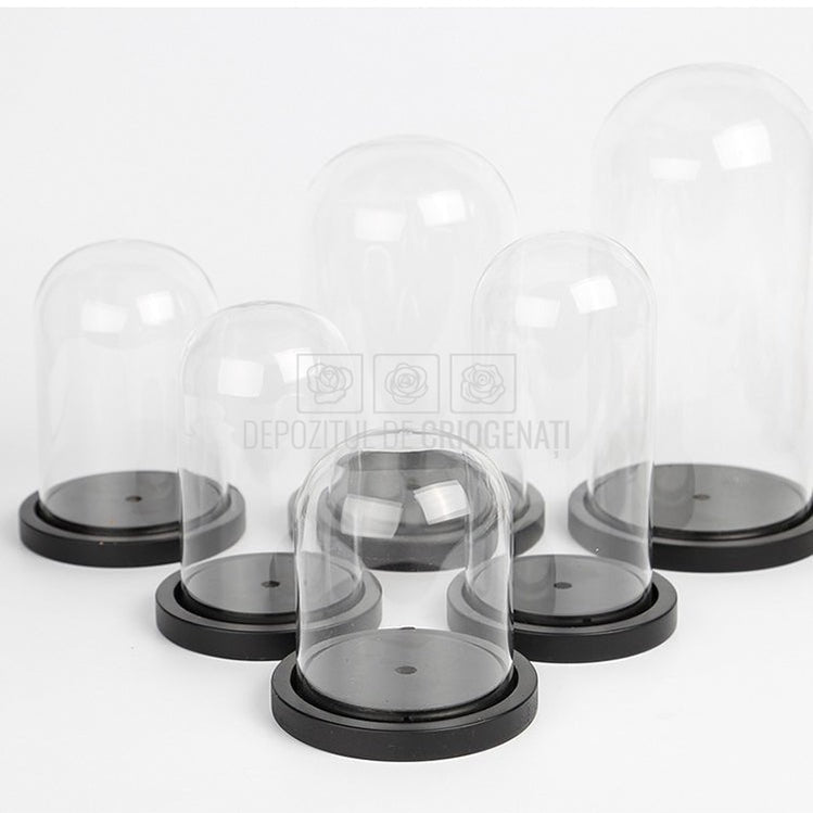 Cupola sticla 10x20cm (blat lemn negru)