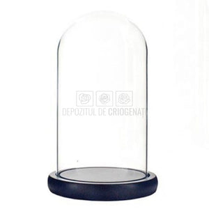 Cupola sticla 10x20cm (blat lemn negru)