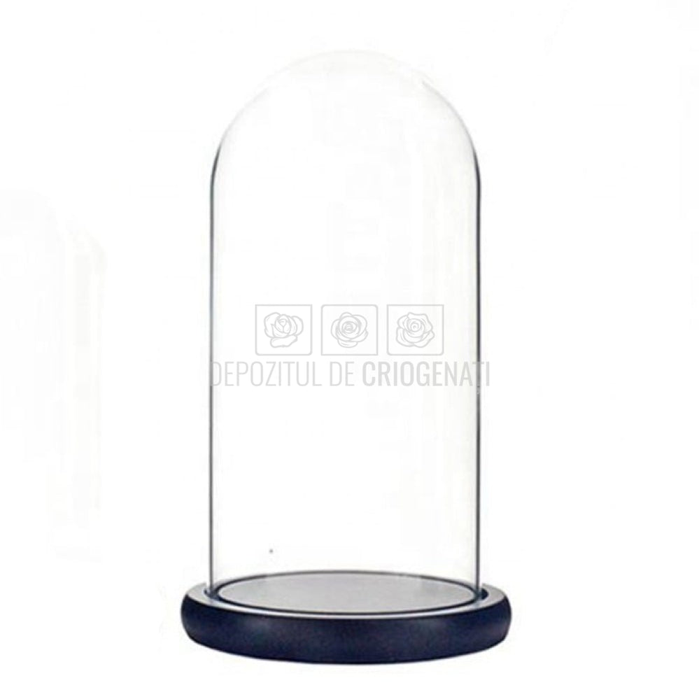 Cupola sticla 12x25cm (blat lemn negru)