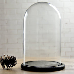 Cupola sticla 15x25cm (blat lemn negru)