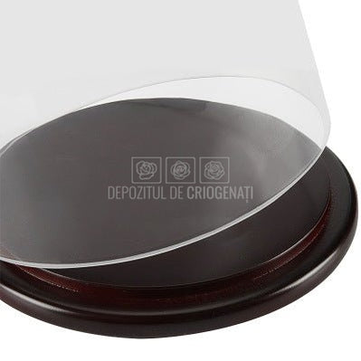 Cupola sticla 15x25cm (blat lemn negru)