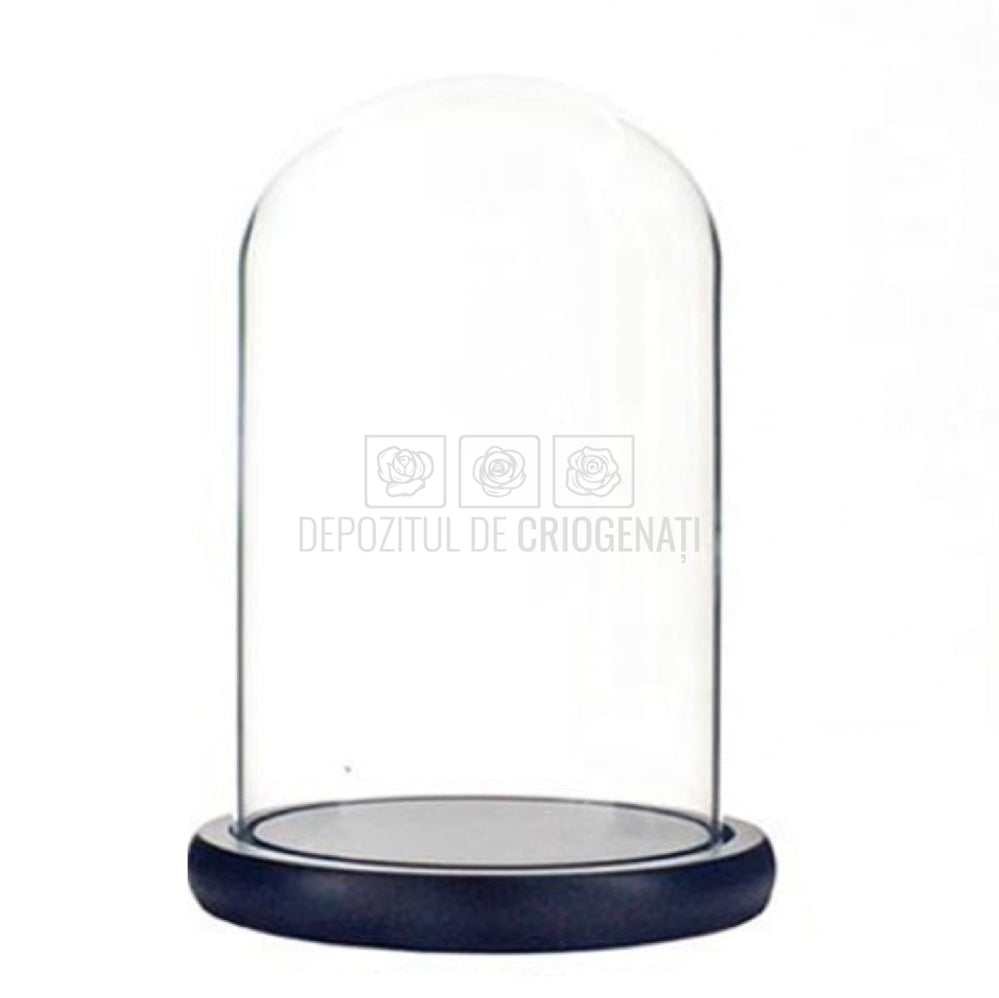 Cupola sticla 15x25cm (blat lemn negru)