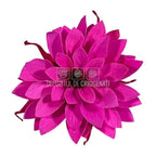 Dalia Criogenata DALIA PIN-07 Ø8cm, set 8 buc/cutie - DepozituldeCriogenati.ro
