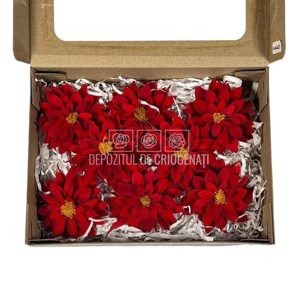 Dalia Criogenata DALIA RED-02 Ø8cm, set 8 buc/cutie - DepozituldeCriogenati.ro