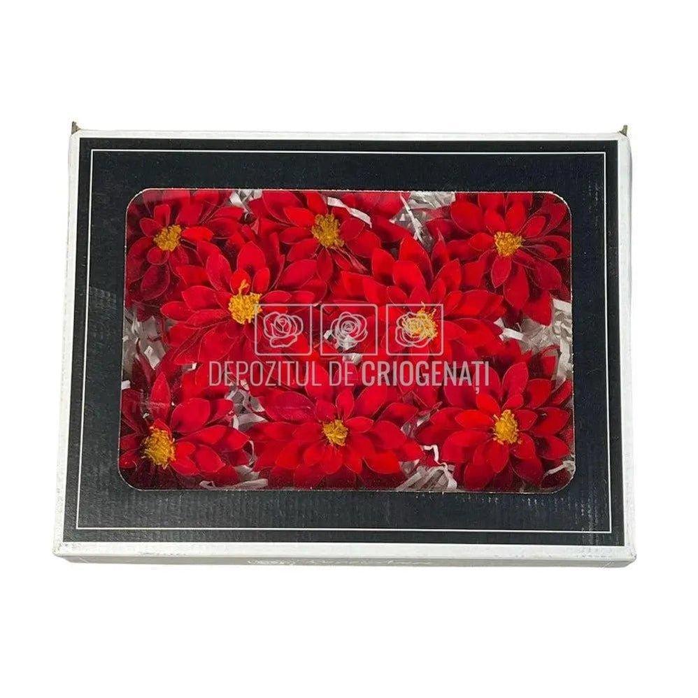 Dalia Criogenata DALIA RED-02 Ø8cm, set 8 buc/cutie - DepozituldeCriogenati.ro