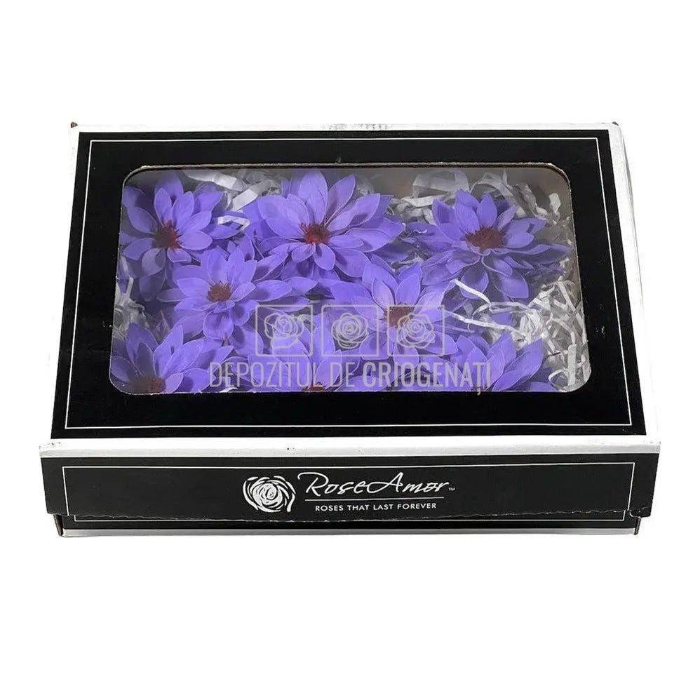 Dalia Criogenata DALIA VIO-01 Ø8cm, set 8 buc/cutie - DepozituldeCriogenati.ro