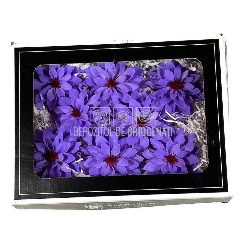 Dalia Criogenata DALIA VIO-01 Ø8cm, set 8 buc/cutie - DepozituldeCriogenati.ro