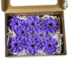 Dalia Criogenata DALIA VIO-01 Ø8cm, set 8 buc/cutie - DepozituldeCriogenati.ro