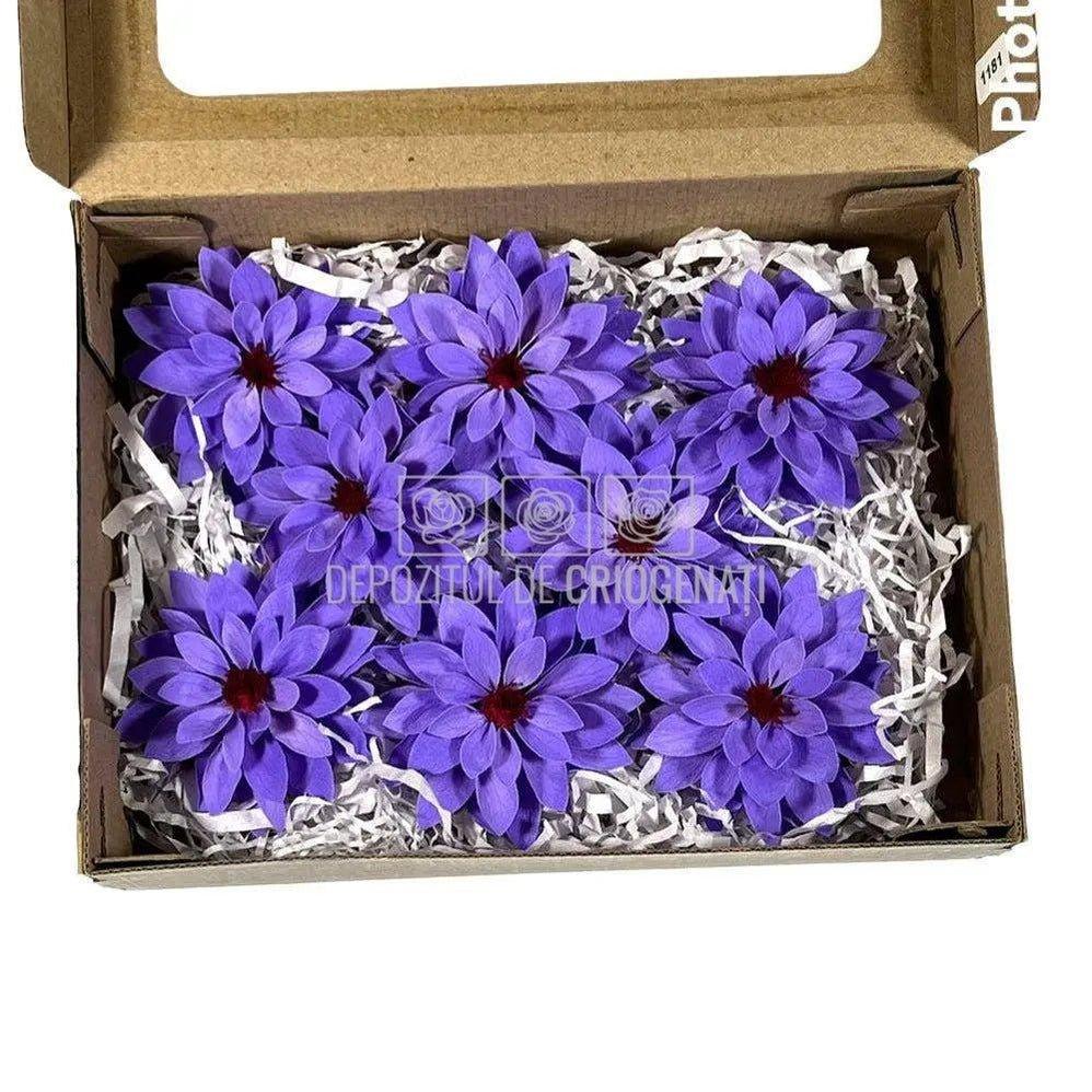 Dalia Criogenata DALIA VIO-01 Ø8cm, set 8 buc/cutie - DepozituldeCriogenati.ro