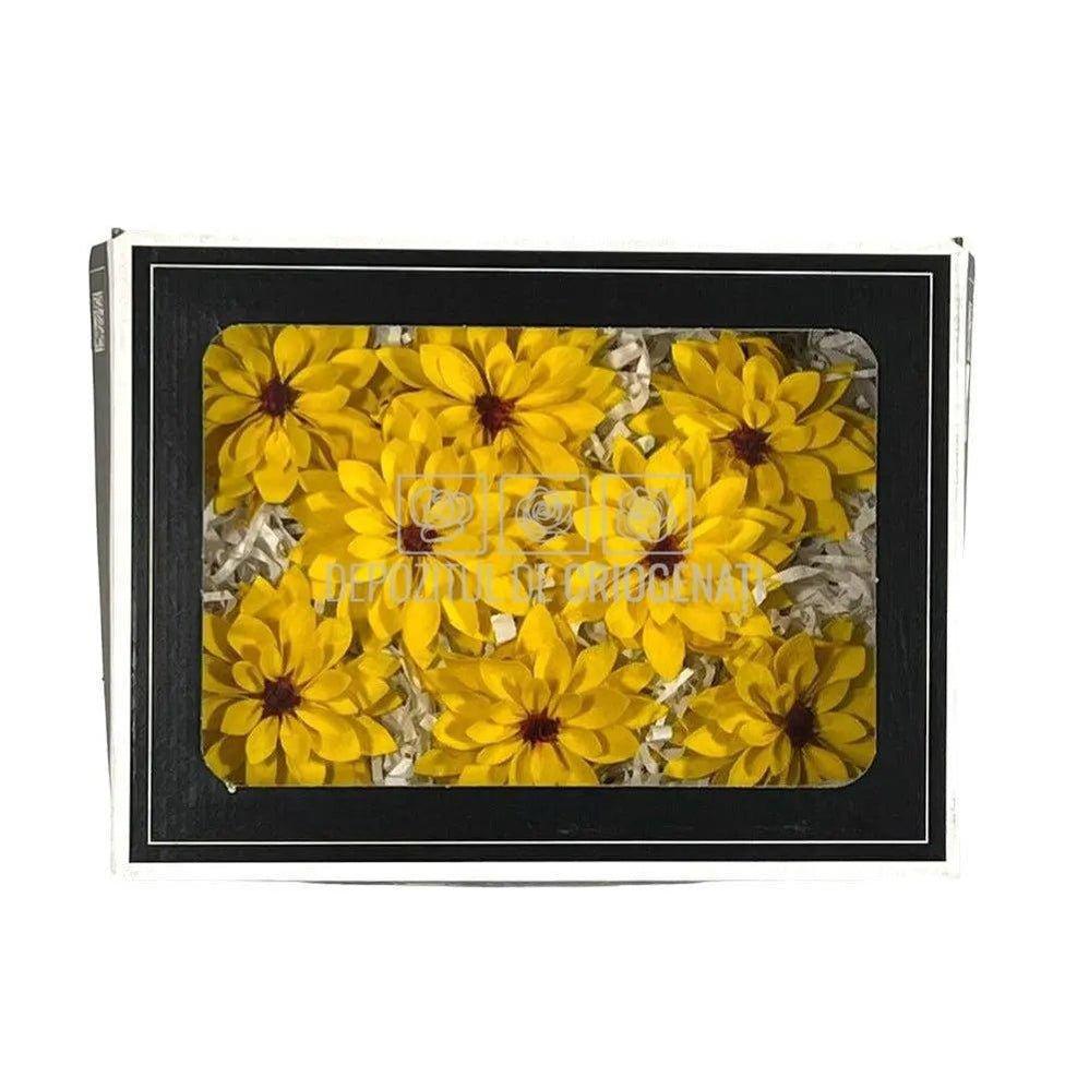 Dalia Criogenata DALIA YEL-02 Ø8cm, set 8 buc/cutie - DepozituldeCriogenati.ro