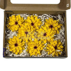 Dalia Criogenata DALIA YEL-02 Ø8cm, set 8 buc/cutie - DepozituldeCriogenati.ro
