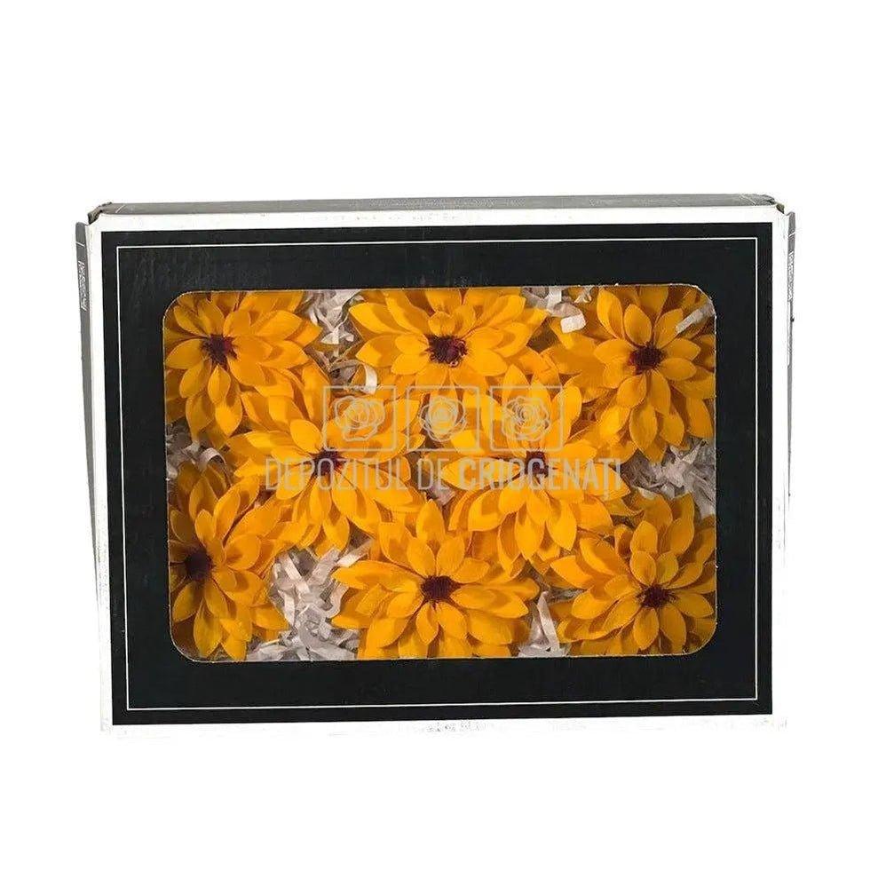 Dalia Criogenata DALIA YEL-04 Ø8cm, set 8 buc/cutie - DepozituldeCriogenati.ro