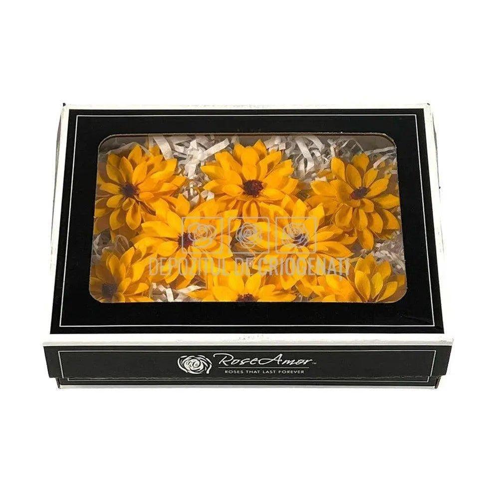 Dalia Criogenata DALIA YEL-04 Ø8cm, set 8 buc/cutie - DepozituldeCriogenati.ro