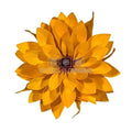 Dalia Criogenata DALIA YEL-04 Ø8cm, set 8 buc/cutie - DepozituldeCriogenati.ro