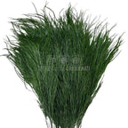 Feriga Criogenata Tree verde (Buchet Criogenat)