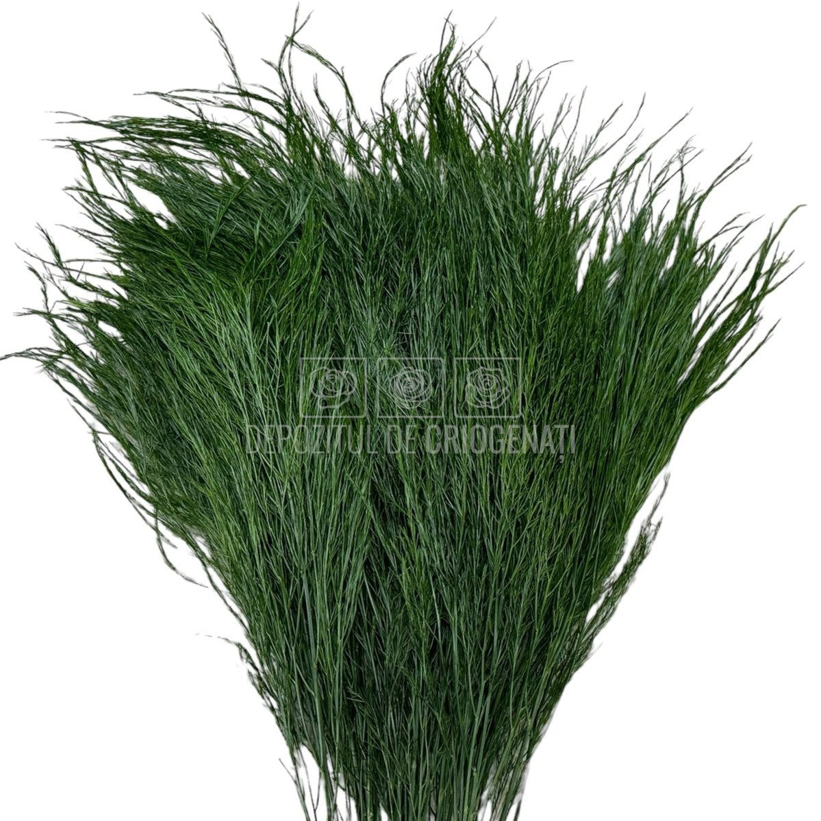 Feriga Criogenata Tree verde (Buchet Criogenat)