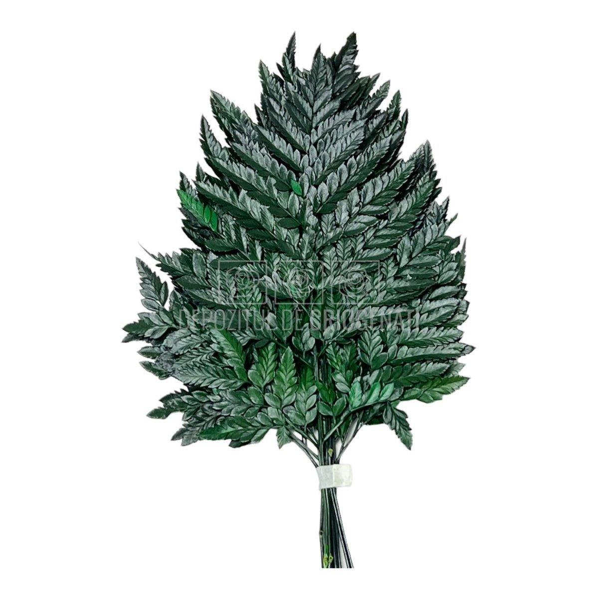 Feriga Verde (Buchet Criogenat 6 buc)