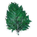 Feriga Verde (Buchet Criogenat 6 buc)
