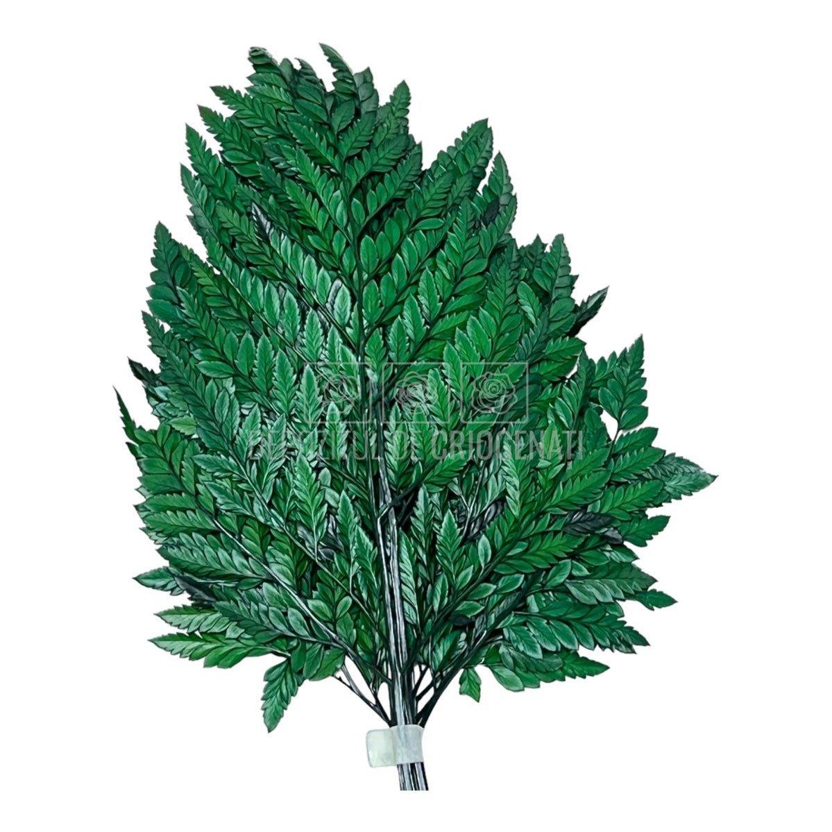 Feriga Verde (Buchet Criogenat 6 buc)