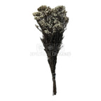 Floare de orez alba (Buchet Criogenat)-Depozitul de Criogenati